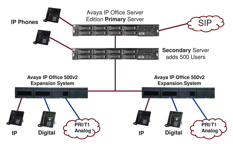 ipseinst.png